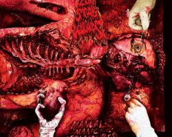 Manual Manic Procedures