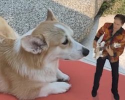 STEVE VAI Launches New Augmented Reality App 'Zeus In Chains'