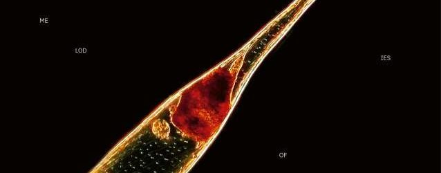 Melodies Of Atonement