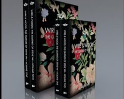 'Wire & Wood: The Guitars Of Steve Vai' Book Coming In March 2025