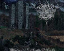 Whereunto the Twilight Leads