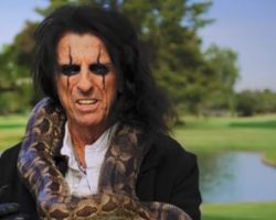 ALICE COOPER Teams Up With WhistlePig For Non-Alcoholic Cocktail