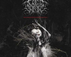 Collapse Of Pattern, Reverence Of Dust