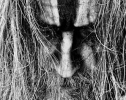 ROB ZOMBIE Announces New Album 'The Great Satan', Releases Video For 'Punks And Demons' Single