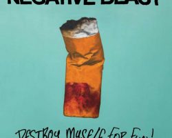 Destroy Myself For Fun